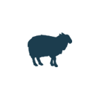 icone-mouton